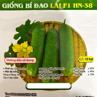 Hạt giống Bí Đao lai (10 HẠT/BAO)