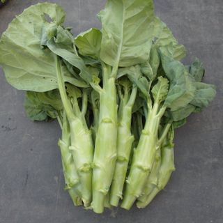 Hạt giống rau Cải Rổ (5 GRAM/BAO)