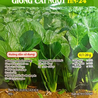 Hạt giống rau Cải Ngọt (20 GRAM/BAO) giá sỉ