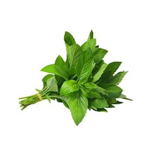 Hạt giống rau Húng Cây (0.2 GRAM/BAO)
