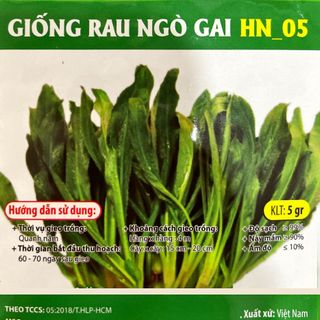 Hạt giống rau Ngò Gai (Mùi tàu), 5 GRAM/BAO giá sỉ