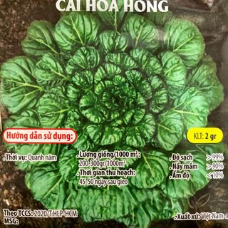 Hạt giống rau Cải Hoa Hồng (2 GRAM/BAO) giá sỉ