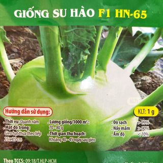 Hạt giống Su Hào xanh (1 GRAM/BAO) giá sỉ