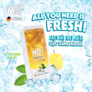 Kẹo ngậm bạc hà không đường IMPACT MINTS Fresh 10g nhập khẩu từ Đức - 4 hương vị, tặng khăn giấy Tempo