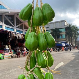 Dây nông sản
