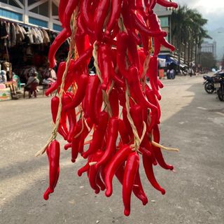 Dây nông sản