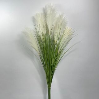 Cành lau 5 bông