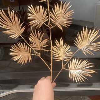 Lá cọ đồng