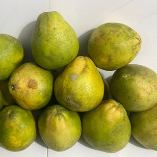 BƯỞI ĐƯỜNG CAM TÂN TRIỀU