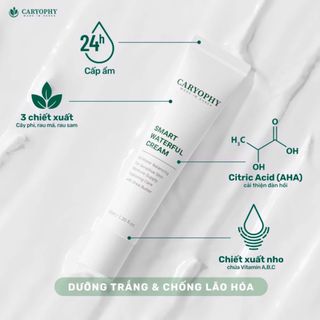 Kem Dưỡng Da Caryophy Smart Waterful Cream 40ml Chính Hãng