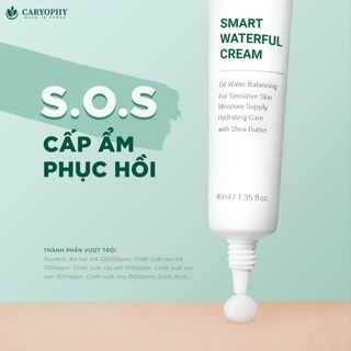 Kem Dưỡng Da Caryophy Smart Waterful Cream 40ml Chính Hãng giá sỉ