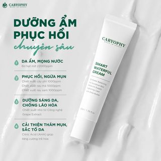 Kem Dưỡng Da Caryophy Smart Waterful Cream 40ml Chính Hãng