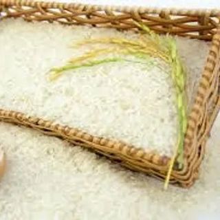 Gạo ST 25  - giá bán buôn giá sỉ