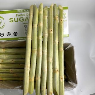 Mía đông lạnh xuất khẩu - Viet Goods Trade