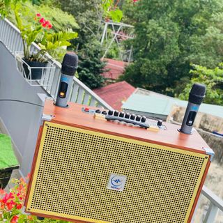 Loa Xách Tay Di Động Karaoke SG10 Bass20 Âm Thanh Chắc Kèm 2 Micro