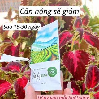 Viên uống nấm Sbody Chính Hãng - Hộp 15 gói 30 viên