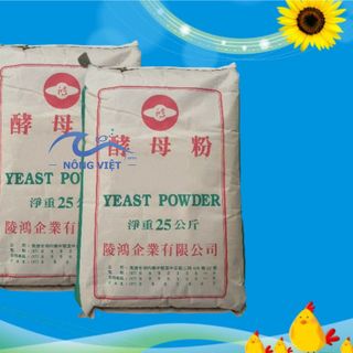 Yeast Powder - Đạm dinh dưỡng nong to đường ruột cho tôm giá sỉ