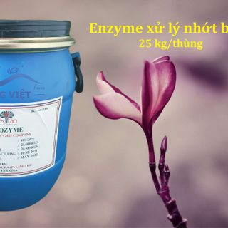 Prozyme - Enzyme xử lý nước, tẩy nhớt bám bạt ao nuôi giá sỉ