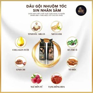 Dầu gội phủ bạc Sin Hair các màu thời trang, tinh chất nhân sâm Nhật Bản hà thủ ô thảo dược