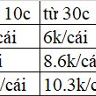 Túi quà kính dọc