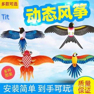 DIỀU CHIM VỖ CÁNH