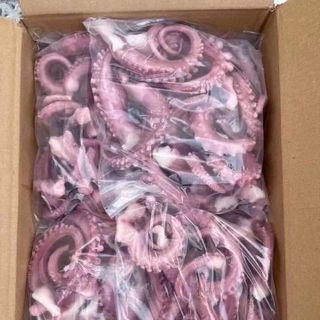 Râu bạch tuộc khổng lồ