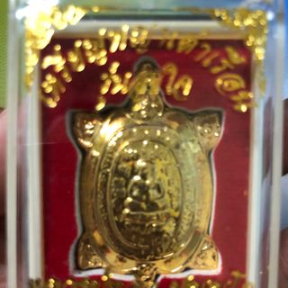 Thần kim quy-Rùa vàng