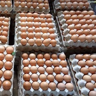 Trứng gà ta sỉ lẻ 24k/10 quả