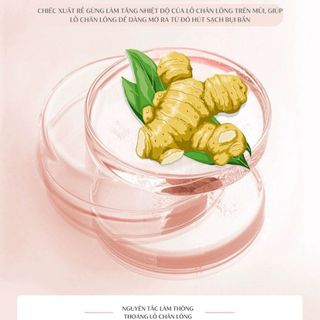 Mặt nạ dạng bột dành cho mũi pore gommage paste pl mụn đầu đen da nhạy cảm