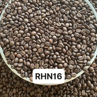 Cafe nhân xanh Robusta honey s16