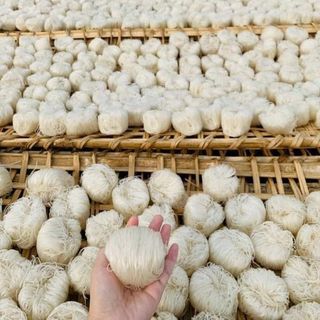 Bỏ sỉ hủ tiếu sa đéc