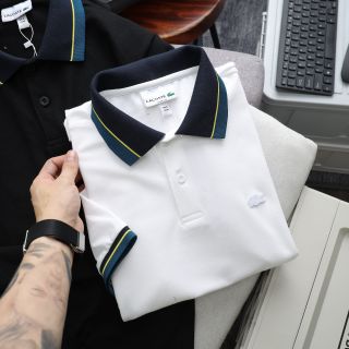 Áo thun polo nam chất cotton, áo phông nam cao cấp, chất cá sấu cotton 100% dày đẹp. Sờ vải là thích - size từ 55kg - 92kg
