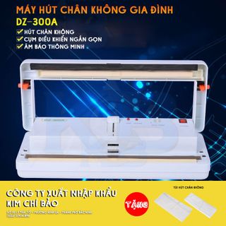 Máy hút chân không gia đình DZ300A