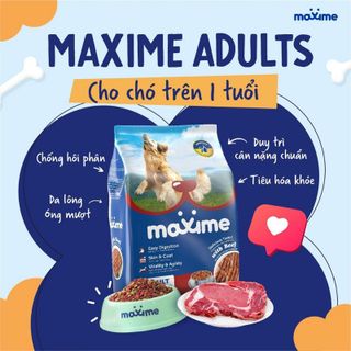 Bịch 20kg - Thức Ăn Hạt Cho Chó Trưởng Thành Maxime Adult With Beef