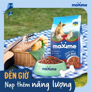 Bịch 20kg - Thức Ăn Hạt Cho Chó Trưởng Thành Maxime Adult With Beef