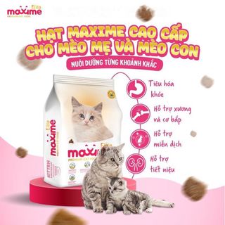 Túi 5kg - Thức Ăn Hạt Cho Mèo Con Maxime Elite Kitten & Mother Cat