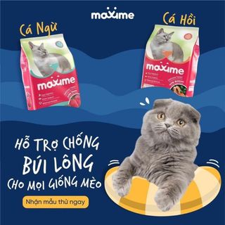 Bịch 7kg - Thức Ăn Hạt Cho Mèo Mọi Độ Tuổi Maxime With Salmon (Vị Cá Hồi)
