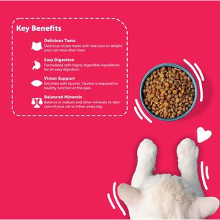 Bịch 7kg - Thức Ăn Hạt Cho Mèo Mọi Độ Tuổi Maxime With Salmon (Vị Cá Hồi)