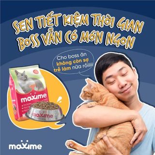 Bịch 7kg - Thức Ăn Hạt Cho Mèo Mọi Độ Tuổi Maxime With Salmon (Vị Cá Hồi)