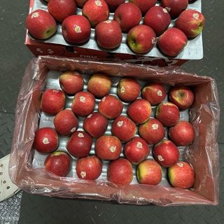 Táo nam phi joya red sz 120