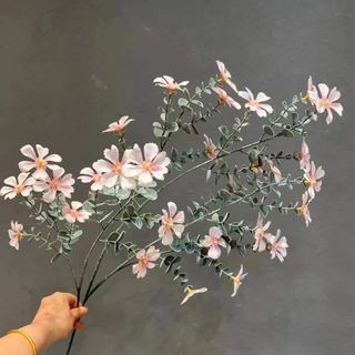 Cành hoa Táo Đài Loan