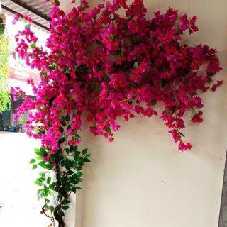 Cành hoa Giấy loại 1