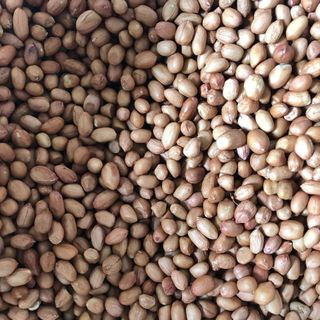 Đậu phộng ( lạc nhân ) sạch miền nam