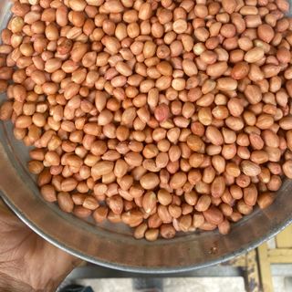 Đậu phộng ( lạc nhân ) sạch miền nam