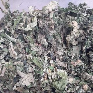 CÂY LÁ ĐẮNG (LÁ CƠM KÌA)
