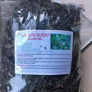 CÂY LÁ ĐẮNG (LÁ CƠM KÌA)