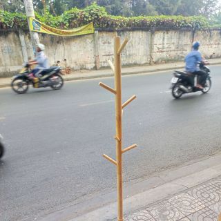 Cây treo đồ