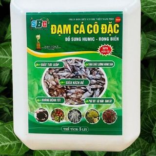 Đạm cá cô đặc thương hiệu SBC (Can 5L)