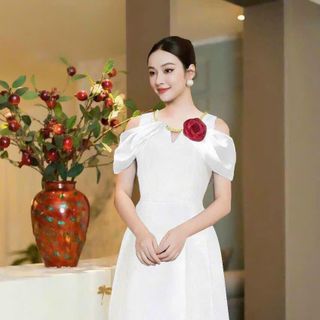 Đầm xoè hở vai bông ngực sang trọng hàng cao cấp