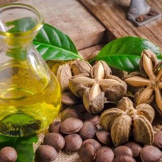 Dầu Sachi và Tuk Green: Mối Liên Kết Chắc Chắn cho Sự Phát Triển - Giá sỉ (Lít) tốt nhất